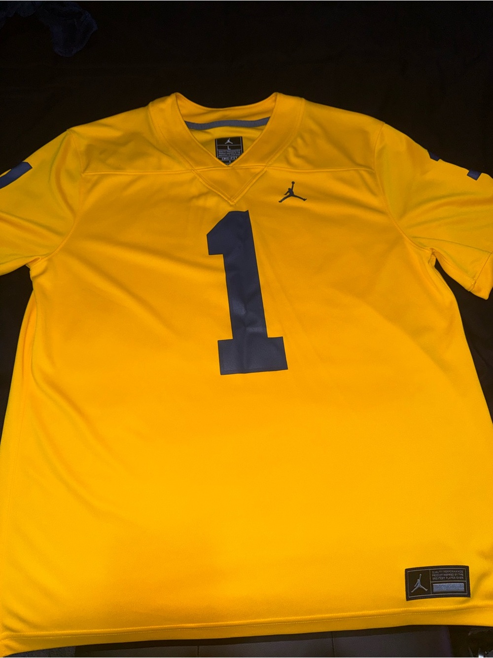 Michigan Jersey #1
